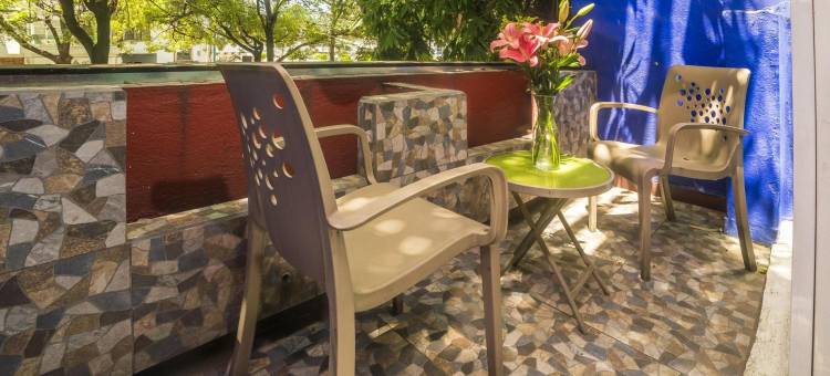 OYO安苏雷斯之家(OYO Casa Anzures Mexico City)图片