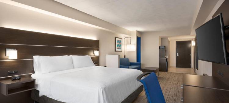 Holiday Inn Express & Suites FT迈尔斯堡东论坛(Holiday Inn Express & Suites FT MYERS EAST- THE FORUM by IHG)图片