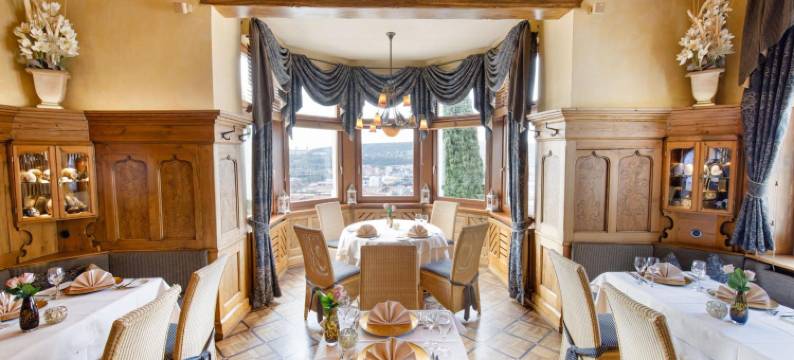 斯坦城堡酒店(Schlosshotel Steinburg)图片