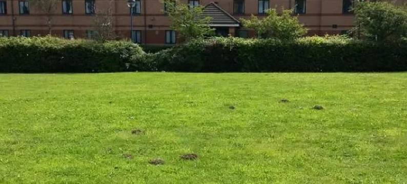 罗瑟勒姆东洲际加纳酒店(Garner Hotel ROTHERHAM EAST by IHG)图片