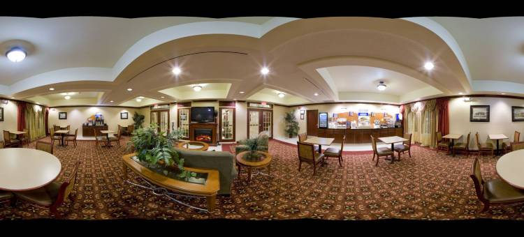 智选假日套房酒店迪生(Holiday Inn Express & Suites Dickson)图片