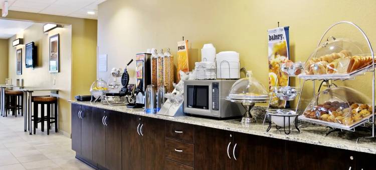 佩里温德姆玛丽埃塔麦客达套房酒店(Microtel Inn & Suites by Wyndham Marietta)图片