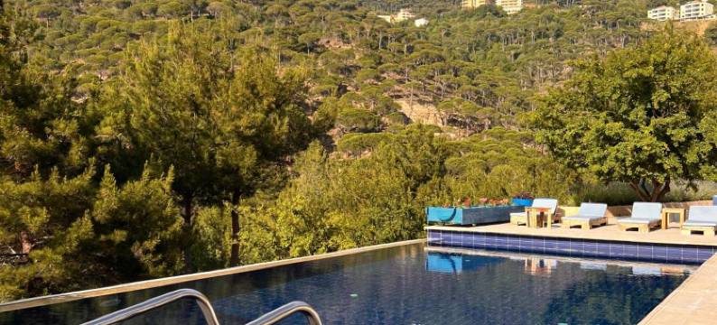 蓝鸟谷住宿加早餐旅馆(Blue Jay Valley)图片