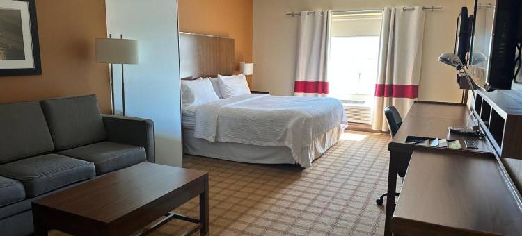 埃德蒙顿机场福朋喜来登酒店(Four Points by Sheraton Edmonton Gateway)图片