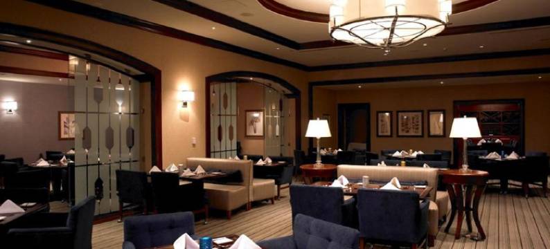 巴利多佛娱乐场度假村(Bally's Dover)图片