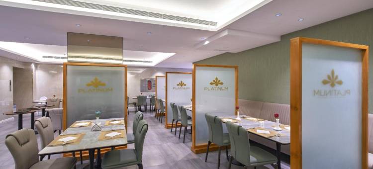 铂金酒店(Platinum Hotel)图片