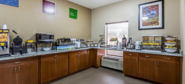 金斯波特东南舒适酒店(Comfort Inn Kingsport Southeast)图片