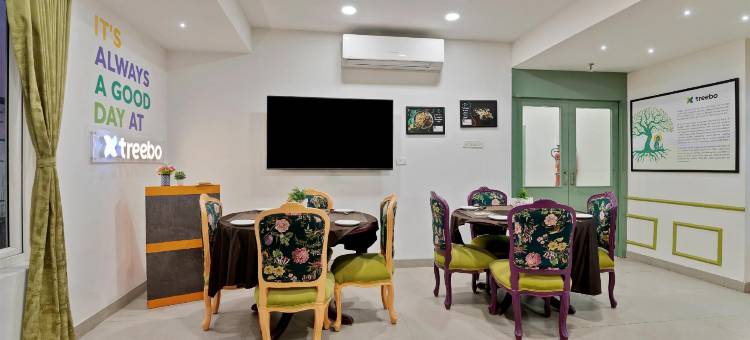 Treebo Moon Waalk, Patia图片