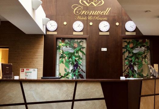 Cronwell Inn StremyannayaHotel Overview