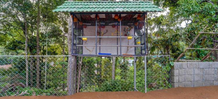 Treebo Regalia Inn Wayanad 带游泳池(Treebo Regalia Inn Wayanad)图片
