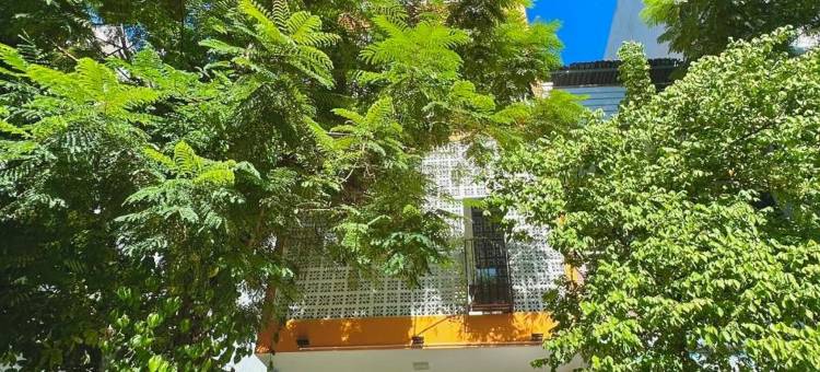 洛卡客房与瑜伽(Loka Home & Yoga)图片