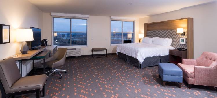 卡拉马祖西假日酒店(Holiday Inn & Suites Kalamazoo West)图片