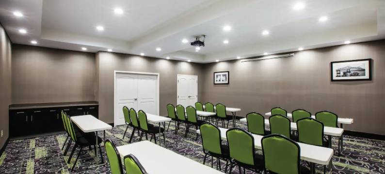 巴吞鲁日德纳姆斯普林斯拉昆塔温德姆套房酒店(La Quinta Inn & Suites by Wyndham Baton Rouge Denham Springs)图片