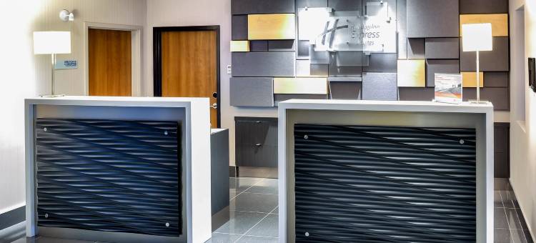 沃德勒伊多里翁智选假日套房酒店(Holiday Inn Express & Suites Vaudreuil - Dorion)图片