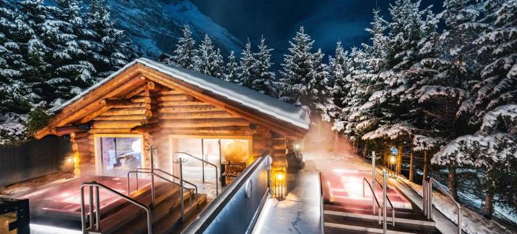 艾尔畔霍夫健康酒店(Wellness Hotel Alpenhof)图片