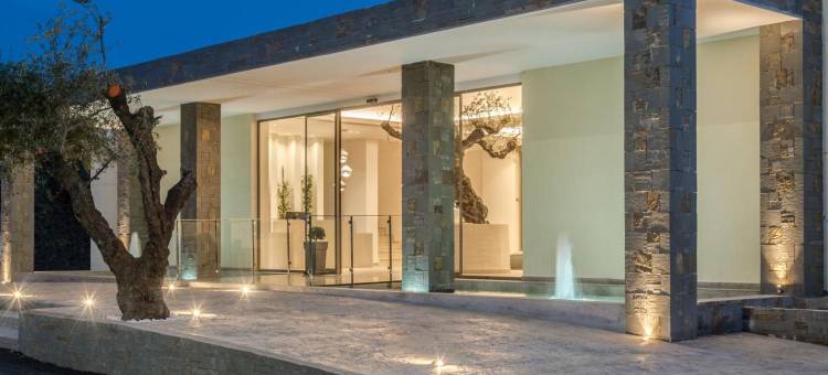 察米斯桑特套房酒店 - 限成人(Tsamis Zante Suites - Adults Only)图片