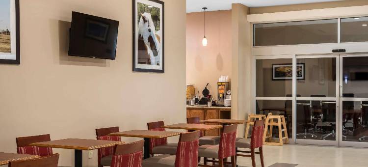 舒适套房酒店-大学(Comfort Suites - University)图片