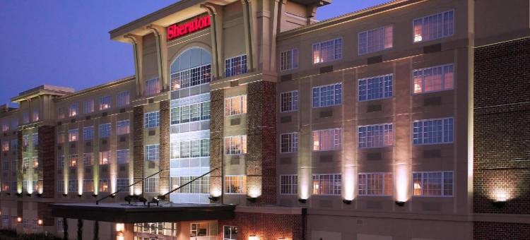 休斯顿西福朋喜来登酒店(Four Points by Sheraton Houston West)图片