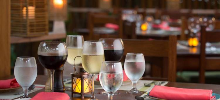 奥拉斯弗德斯酒店(Olas Verdes Hotel)图片