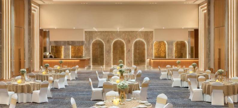 德里 MG 路 丽笙酒店(Radisson Hotel Delhi MG Road)图片