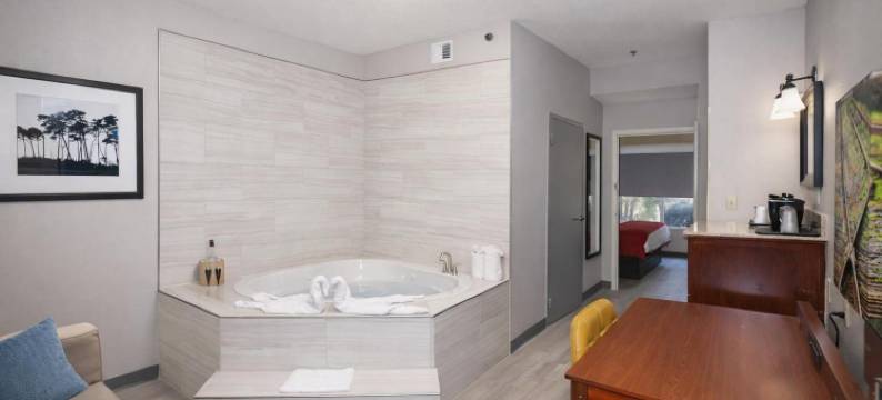 亚特兰大I-75南丽怡酒店(Baymont Inn & Suites by Wyndham Morrow/Atlanta I-75 South)图片