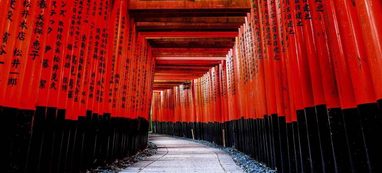 素和华(Sowaka)图片