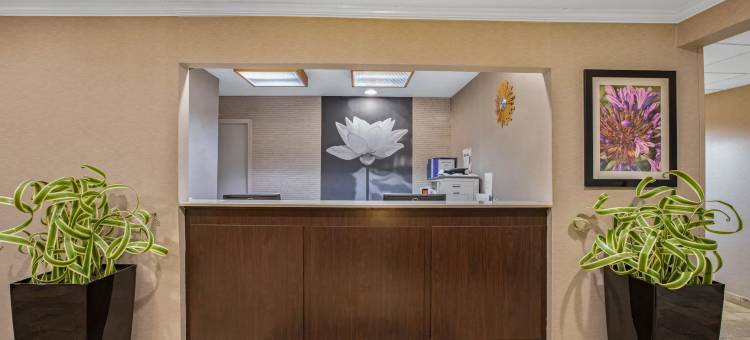 小石城北部麦凯恩购物中心拉昆塔温德姆套房酒店(La Quinta Inn & Suites by Wyndham N Little Rock-McCain Mall)图片