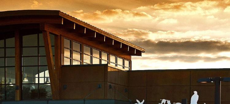 波特兰泰格德万怡酒店(Courtyard Portland Tigard)图片