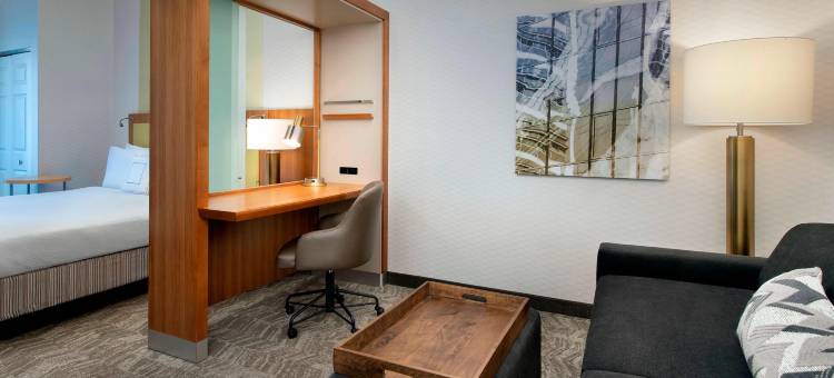 亚历山大万豪SpringHill酒店(SpringHill Suites Alexandria)图片