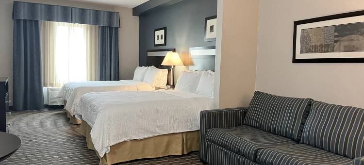 智选假日套房酒店莫顿皮奥里亚区(Holiday Inn Express & Suites Morton Peoria Area)图片