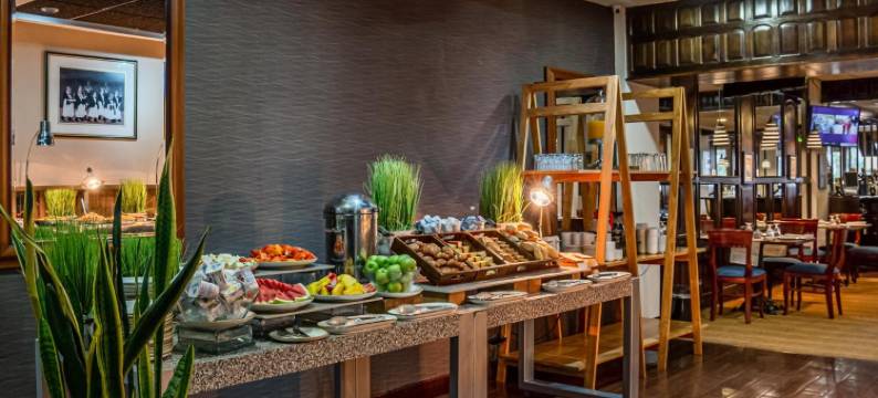 圣马丁广场酒店(Hotel Plaza San Martin)图片