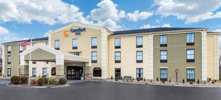 阿什维尔机场舒适酒店(Comfort Inn Asheville Airport)图片