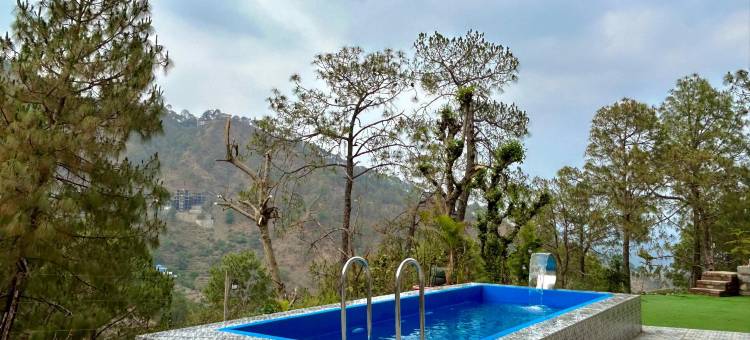 Kukoo's Nest Kasauli图片