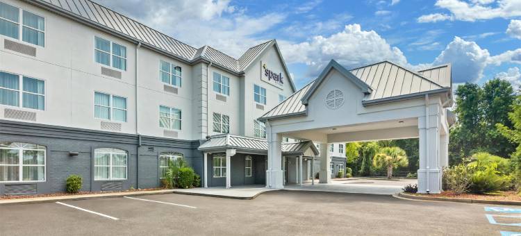 Spark by Hilton Sumter图片