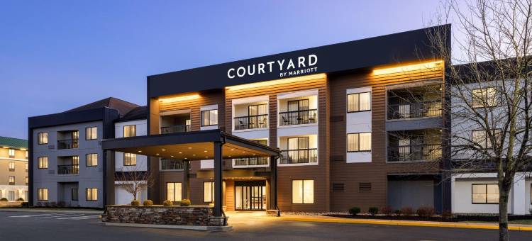 威尔明顿布兰迪万怡酒店(Courtyard Wilmington Brandywine)图片