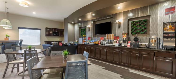 邓肯维尔达拉斯贝斯特韦斯特优质酒店(Best Western Plus Duncanville Dallas)图片