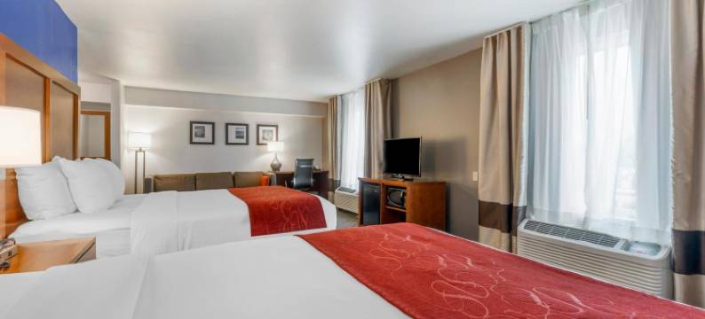 雷丁-沙斯塔湖舒适套房酒店(Comfort Suites Redding - Shasta Lake)图片