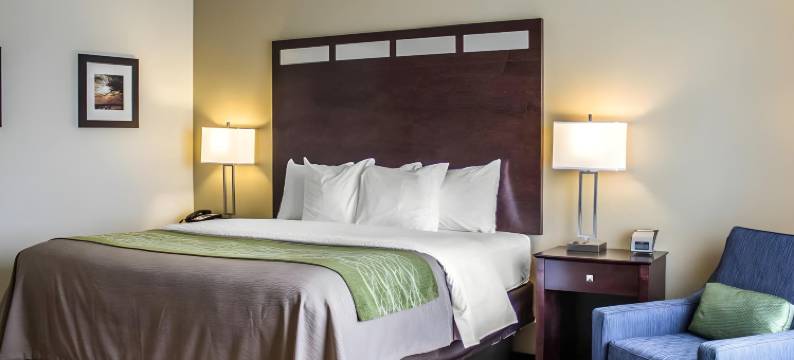 舒适酒店(Comfort Inn)图片