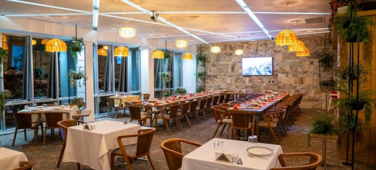 HALLEY酒店(Halley Otel)图片