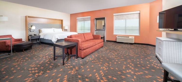 Holiday Inn 圣路易斯(CREVE大教堂)(Holiday Inn ST. LOUIS - CREVE COEUR by IHG)图片