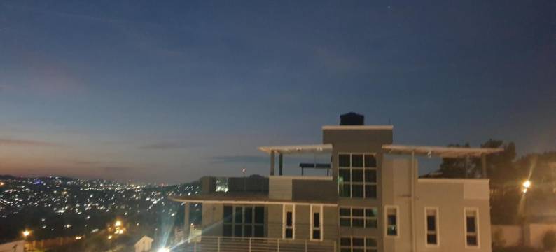 坎帕拉黑玫瑰(Rosa Negra Uganda)图片