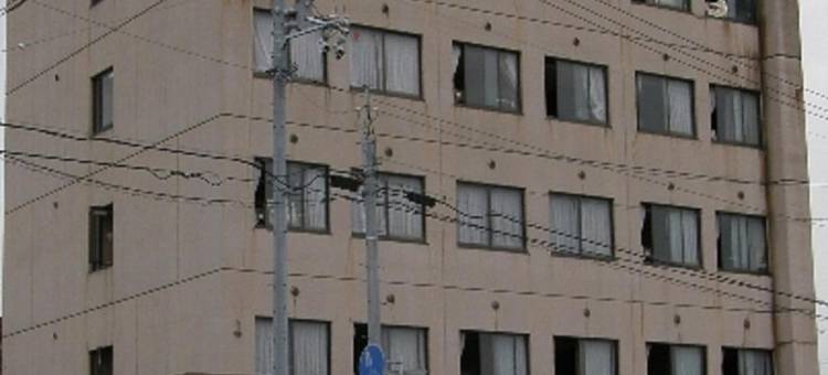 新居滨山酒店(Hotel Niihama Hills)图片