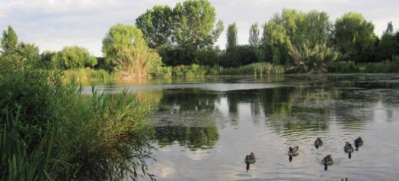 雨果海滩酒店(Hugo Beach Hotel)图片