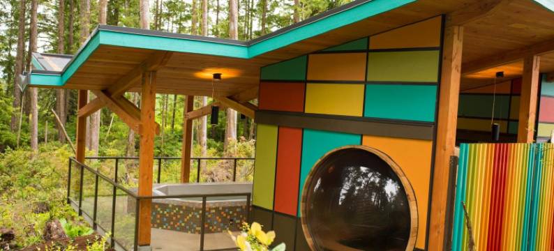 图芬诺泽德酒店(Hotel Zed Tofino)图片