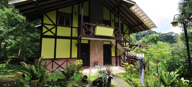 南投溪头新明山木屋渡假村图片