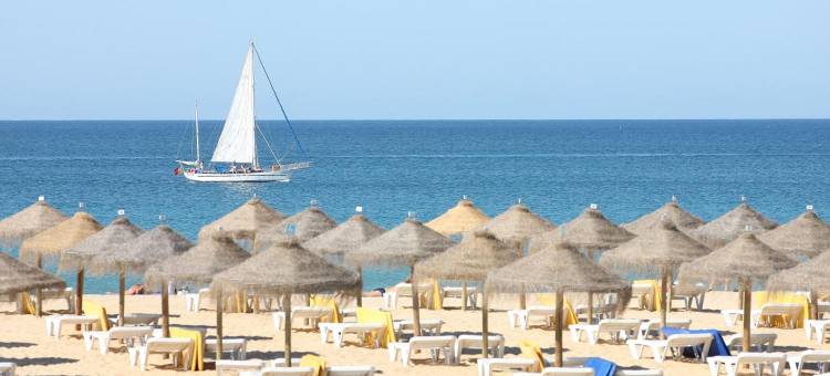 导航者 - 奥林匹斯(The Navigator - Olympus)图片