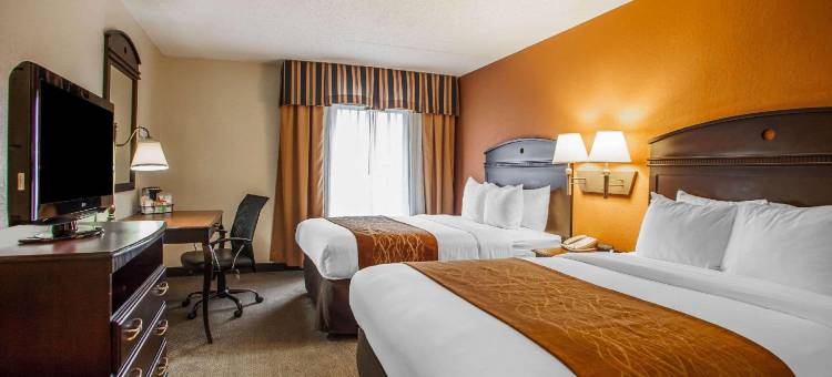 萨默塞特新不伦瑞克舒适套房酒店(Comfort Inn & Suites Somerset - New Brunswick)图片