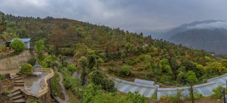 花园阁酒店(The Garden Courts)图片