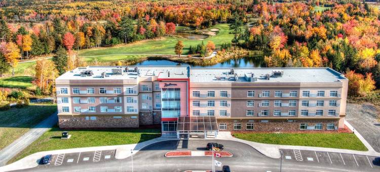 新不伦瑞克弗雷德里克顿丽笙金斯伍德酒店(Radisson Kingswood Hotel & Suites, Fredericton)图片