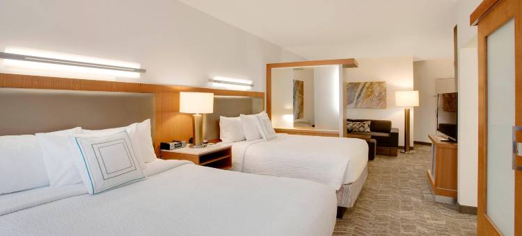 哈特福德机场／温莎洛克斯万豪SpringHill酒店(SpringHill Suites Hartford Airport/Windsor Locks)图片